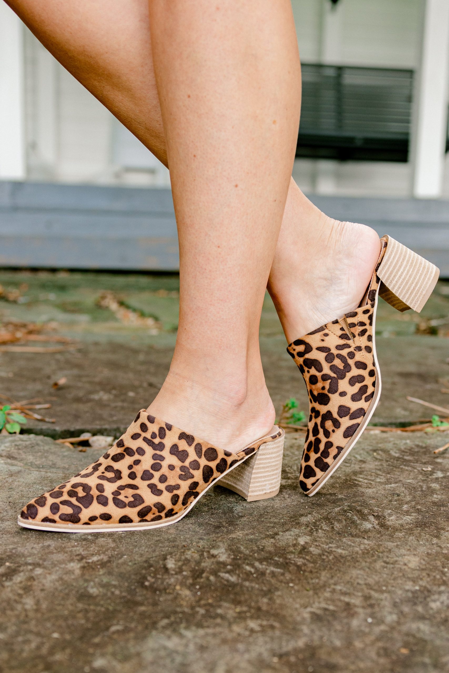 Something True Mules, Leopard